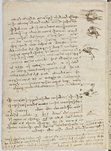Birds Flight Code, Sheet 8 Verso by Leonardo da Vinci